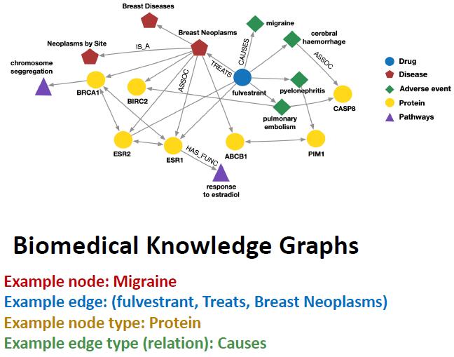 生物医学知识图谱