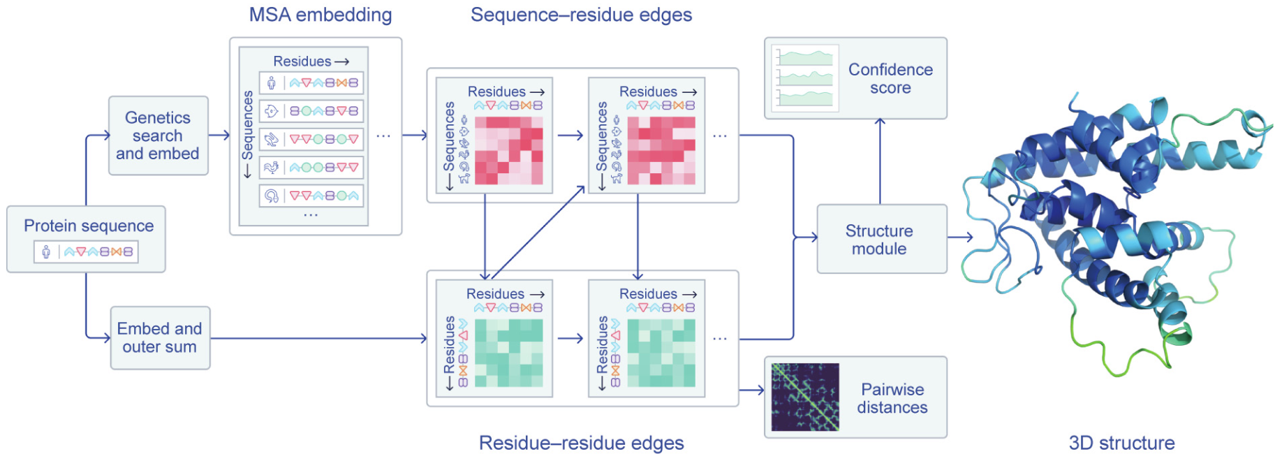 AlphaFold Pipeline, 图片源自 Artificial Intelligence Cracks a 50-Year-Old Grand Challenge in Biology